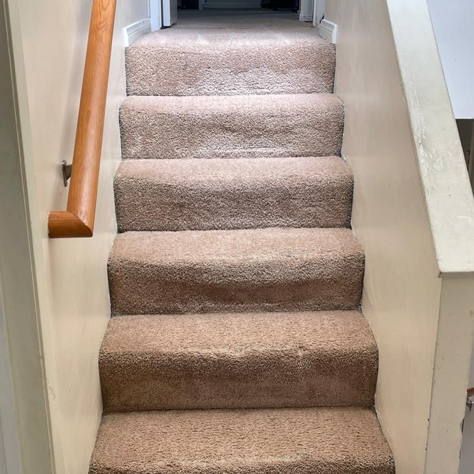 Carpet Cleaning