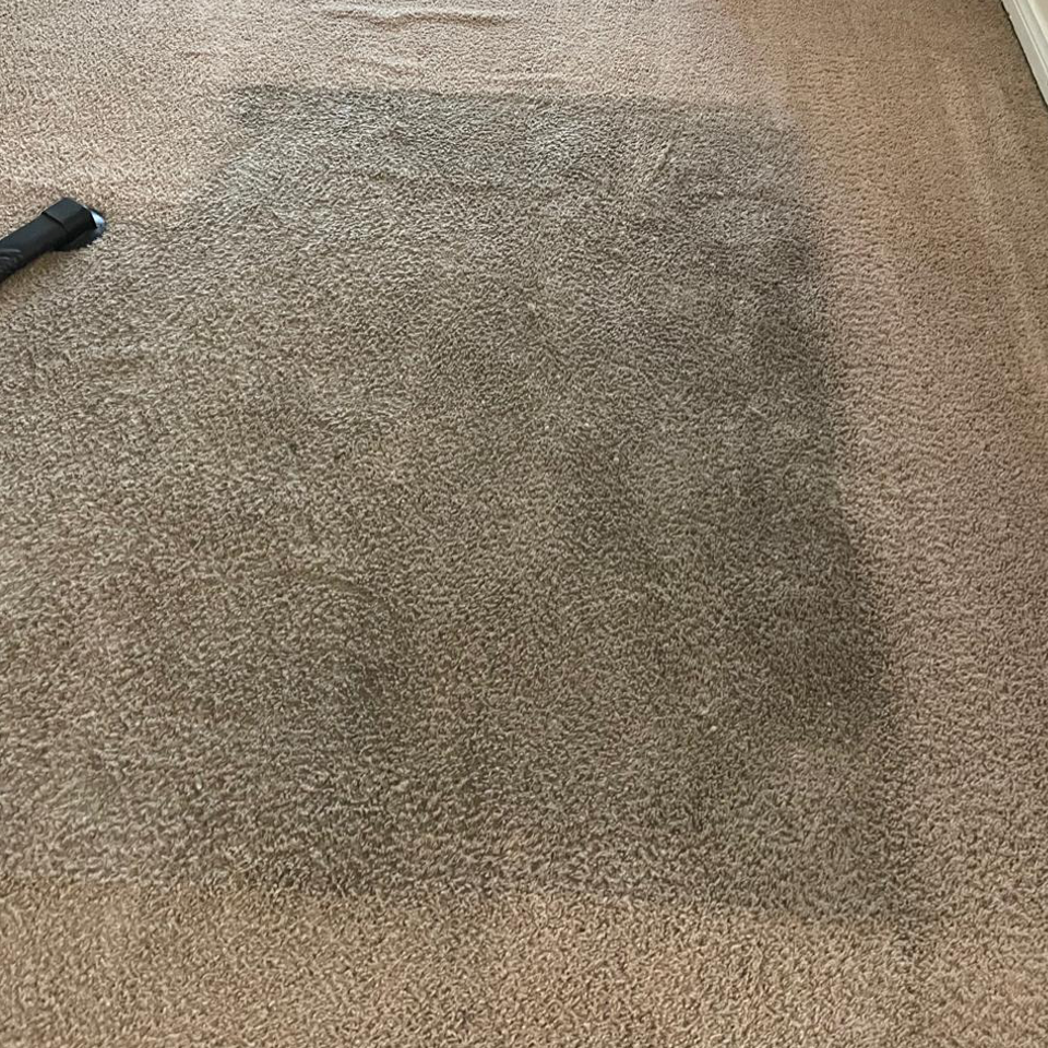Before Cleaning